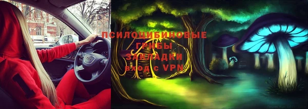 твердый Белокуриха