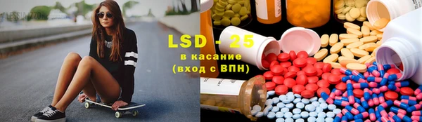 PSILOCYBIN Беломорск