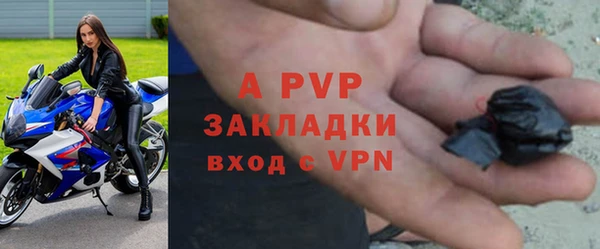 твердый Белокуриха