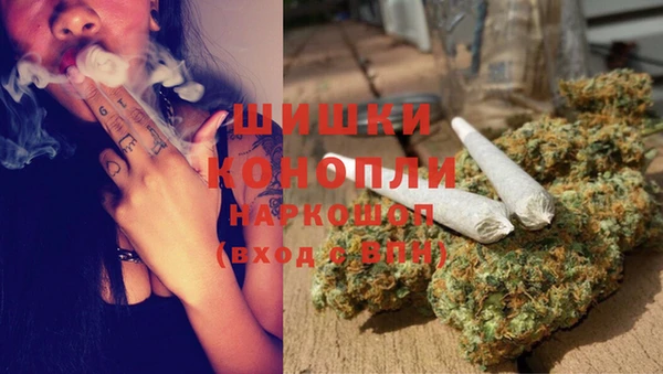PSILOCYBIN Беломорск