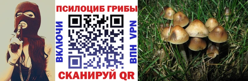 Галлюциногенные грибы прущие грибы  цена   Учалы 