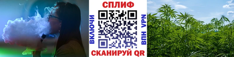 Бошки Шишки MAZAR  Учалы 